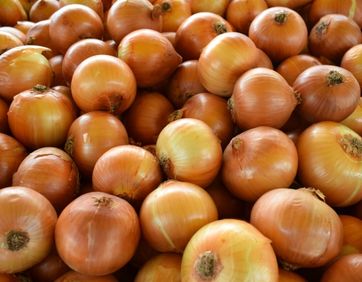 Cebola Nacional