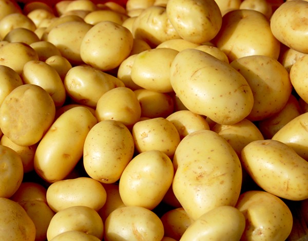 Batata Rena