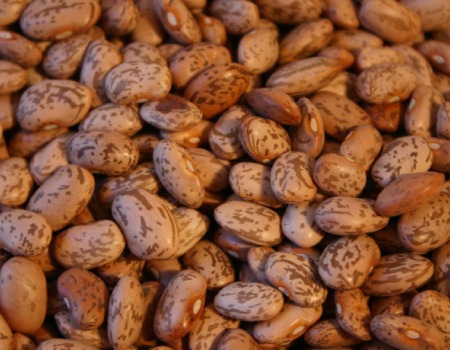 Produtos Agrícolas e Especiarias