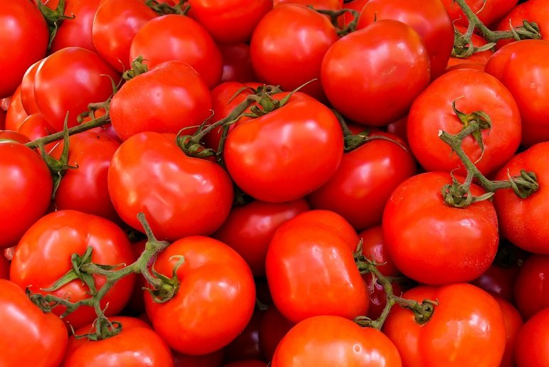 Tomate Maduro